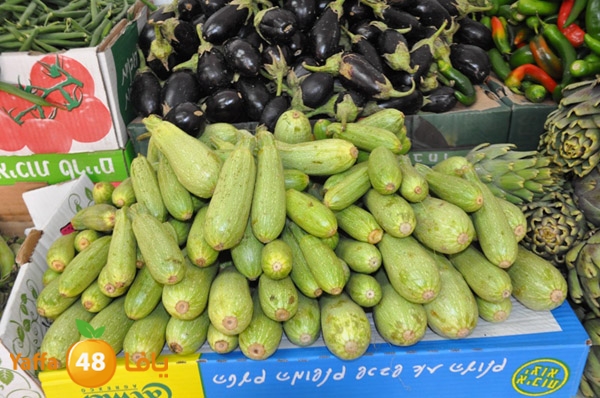 markaz khodare 3 (15).JPG